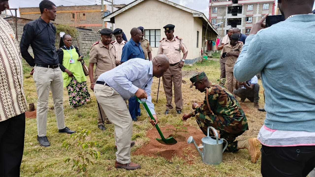 Rooting for the future