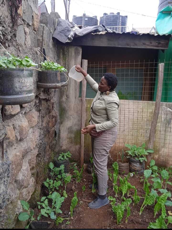 Urban Vegetable farming
