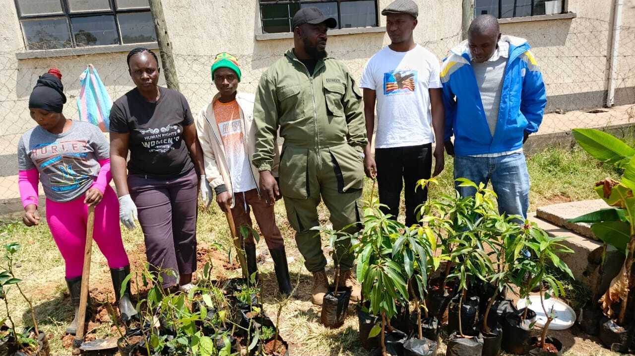 Green Initiative - Collective Commitment to